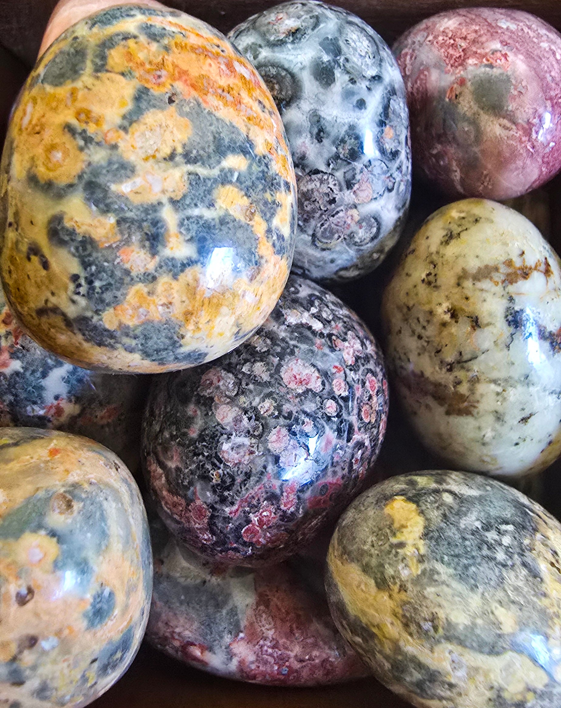 Leopard Jasper